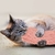 Imagen de Juguete gusano espacial con catnip
