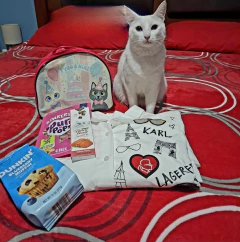 Ruth García Rentería