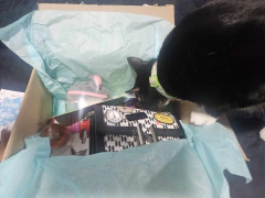 Yazmin Ramirez Espindola