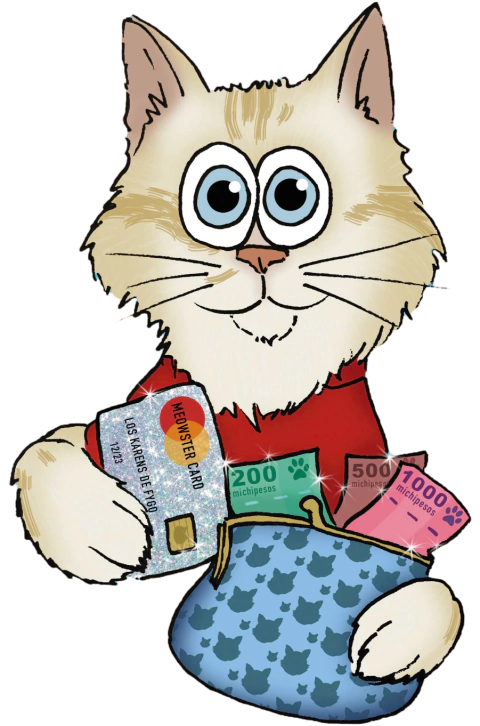 Política de venta y cobros