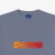 T-shirt dubs flames grey - comprar online