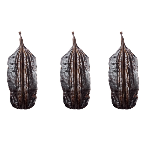 10 Favas de Aridan Africano - Original