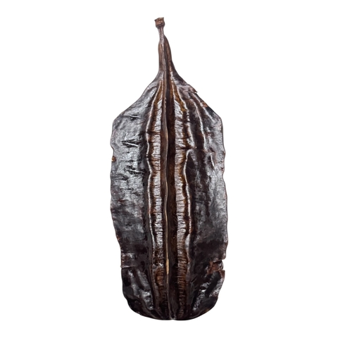 Fava de Aridan Africano - Original