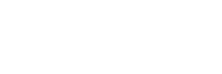 Delfim Shoes