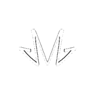 M Merch