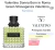 Decant - Valentino Donna Born In Roma Green (Valentino) na internet