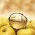 DONNA KARAN BE DELICIOUS GOLDEN EDP - NEZ PERFUMERIAS