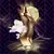 SHAKIRA DANCE MIDNIGHT EDT - NEZ PERFUMERIAS