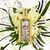 GUCCI FLORA GORGEOUS ORCHID EDP - comprar online