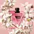 Imagen de VALENTINO DONNA BORN IN ROMA EDP W