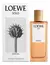 LOEWE SOLO ESENCIAL EDT en internet