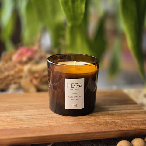 RENÉ - comprar online