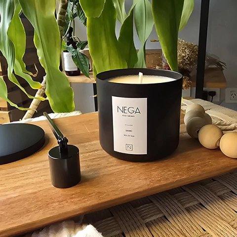 PIPA - comprar online