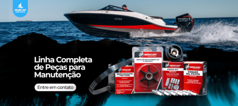 Carrossel 1