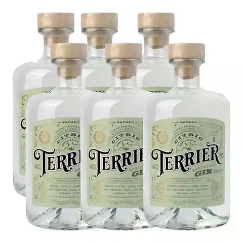 Gin Terrier Citric 6 Botellas X700cc