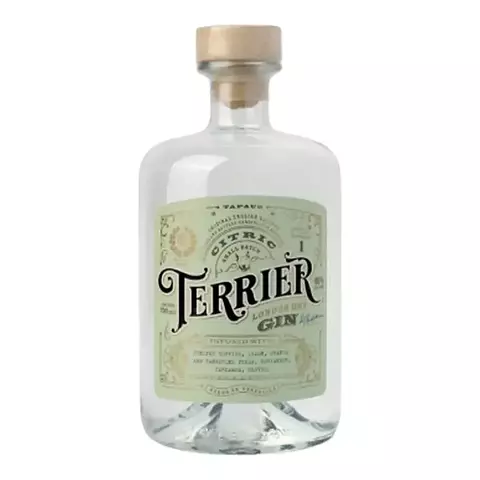Gin Terrier Citric Botella X700cc