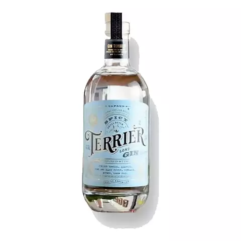 Gin Terrier Spicy Botella X700cc