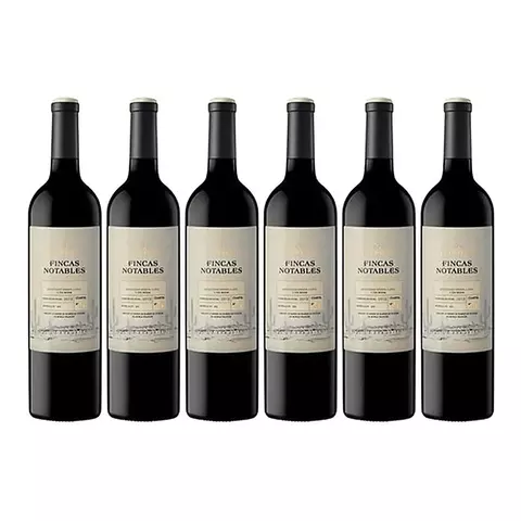 Vino Finca Los Notables Tannat X750cc Caja X6