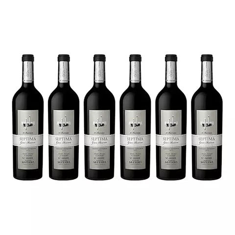 Vino Septima Gran Reserva 10 Barricas Cabernet Sauvignon X6