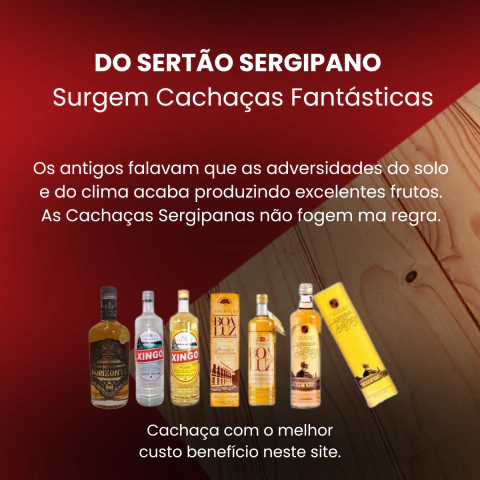Carrossel 1