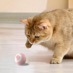 Pelota Interactiva para Mascotas