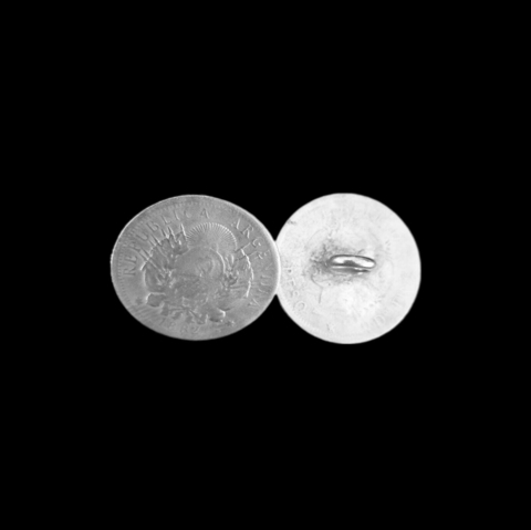 Moneda de Patacón