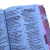 Bíblia NTLH leão Safira com Abas Adesivas Capa dura acolchoada - Central das Biblias