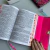 Biblia Carteira strass Verde tifany Com harpa e indice na internet
