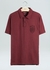Camisa Polo Stone Colors - Osklen - Gaby Sampaio
