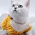 Tricot Pet Mucci - comprar online