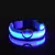 Coleira Led Luminosa Pet