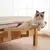 Cama Suspensa Portátil para Gatos na internet