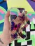 Case Mariposas Rosas (iPhone 13 Mini) - comprar en línea
