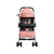 Carriola Para Bebé Infanti Ivy Con Mango Reversible en internet