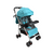 Carriola Para Bebé Infanti Ivy Con Mango Reversible