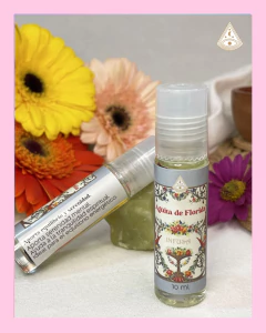 ROLL ON AGUITA DE FLORIDA - comprar online