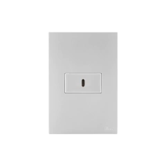 CONJ 1 TOMADA USB TIPO C RECTA SATIN PRATA BLUX 4X2