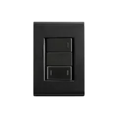 CONJ 1 INTERRUPTOR SIMPLES + 1 INTERRUPTOR PARALELO LIZ GRAFITE TRAMONTINA - comprar online