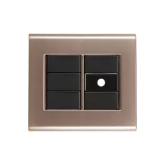 CONJ PLACA 1 FURO 4X4 LIZ OURO VELHO COM GRAFITE TRAMONTINA - comprar online