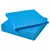 SERVILLETA ECONOMICA X 20 U. CELESTE BANDERA - comprar online