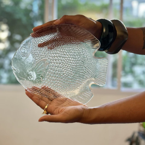 Conjunto de Pratos Poisson em Vidro Temperado – Arcoroc France (7 peças)