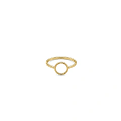 Anel Tamanho 24 Círculo Vazado Banho Dourado