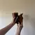 Difusor Marron Petaca - tienda online