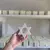 Porta vela estrella en internet