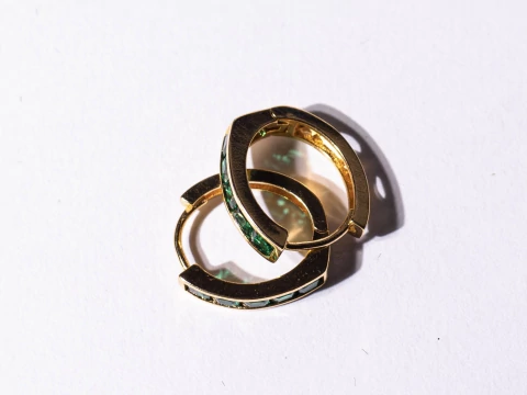 Brincos Petri - comprar online