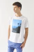 REMERA HONOLULU M/C - comprar online