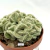 Cactus cerebro