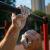 Magnesio ELITE x 500g (crossfit- Calistenia- Escalada) - Magno Argentina