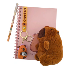 Mini Set De Regalo Personaje Kawaii Con Mini Peluche