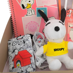 Box Snoopy Ideal Regalo Kawaii Vs. Productos - S-STORE
